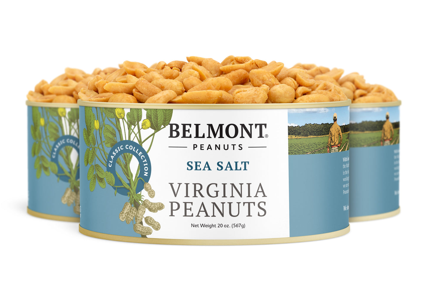 Three tins of Belmont Peanuts Sea Salt, each filled with gourmet Virginia peanuts. The label displays peanut illustrations, descriptive text, and a photo of a person standing in a peanut field.