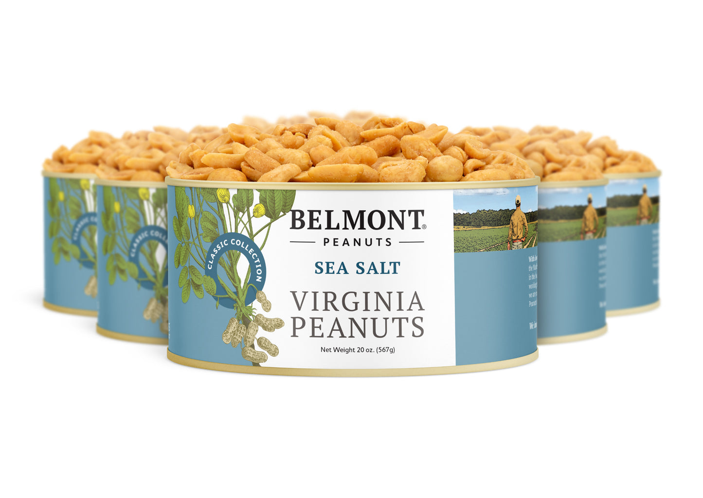 Six cans of Sea Salt gourmet peanuts are arranged in a semi-circle. The blue and cream labels display sea salt peanuts with charming illustrations of Virginia peanuts, a farmer, and a field.