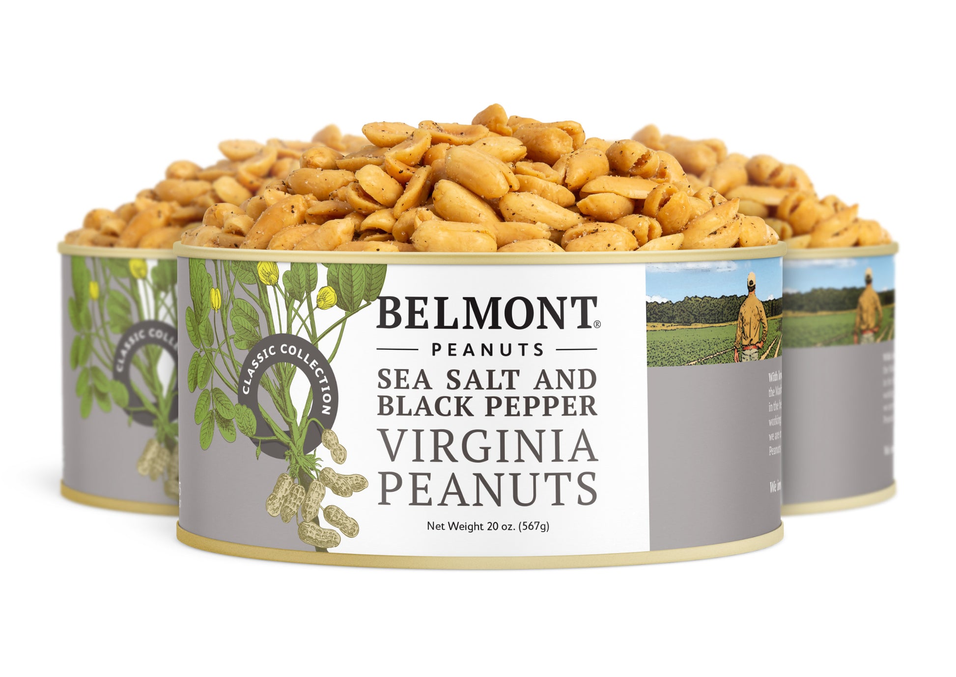 Three cans of Belmont gourmet Sea Salt & Black Pepper peanuts are displayed, with peanuts spilling from the open cans. The labels show illustrations of peanut plants and a farmer in a field.