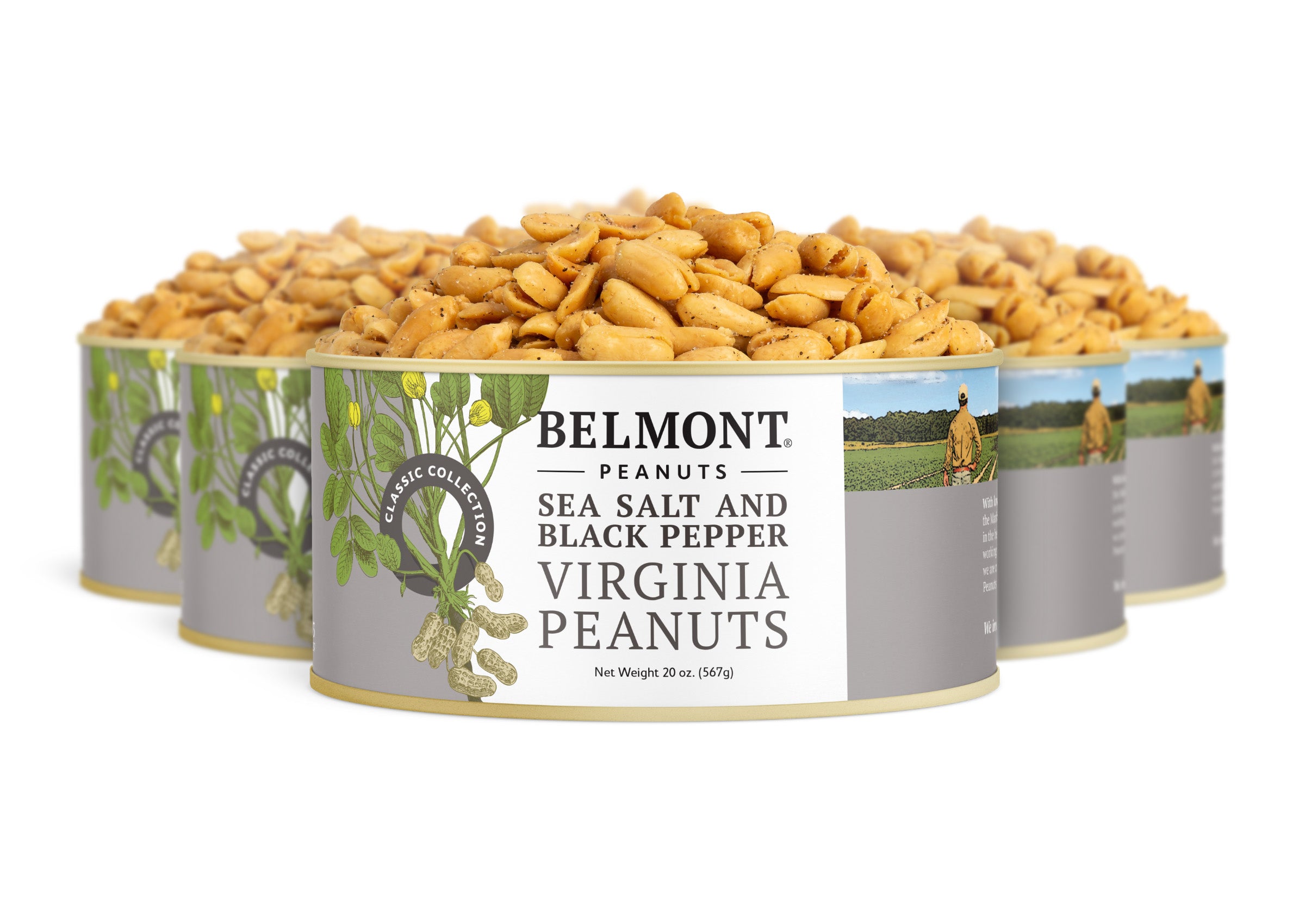 Four cans of Sea Salt & Black Pepper gourmet peanuts are arranged in a staggered formation, with the front can in focus displaying the label and seasoned Virginia peanuts piled high above the rim.