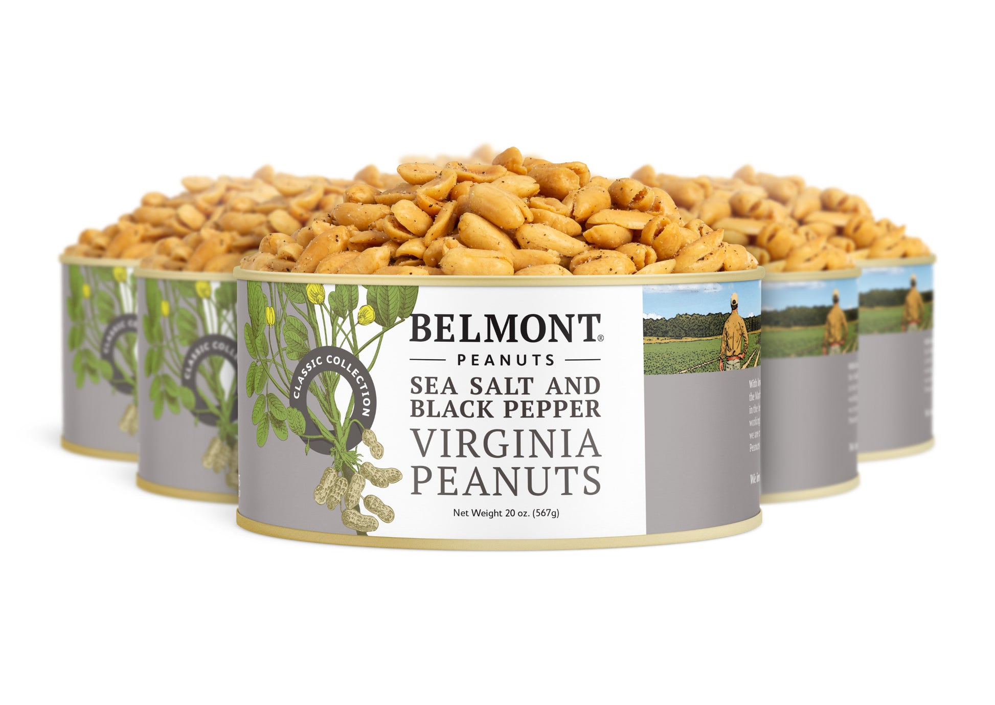 Four cans of Sea Salt & Black Pepper gourmet peanuts are arranged in a staggered formation, with the front can in focus displaying the label and seasoned Virginia peanuts piled high above the rim.