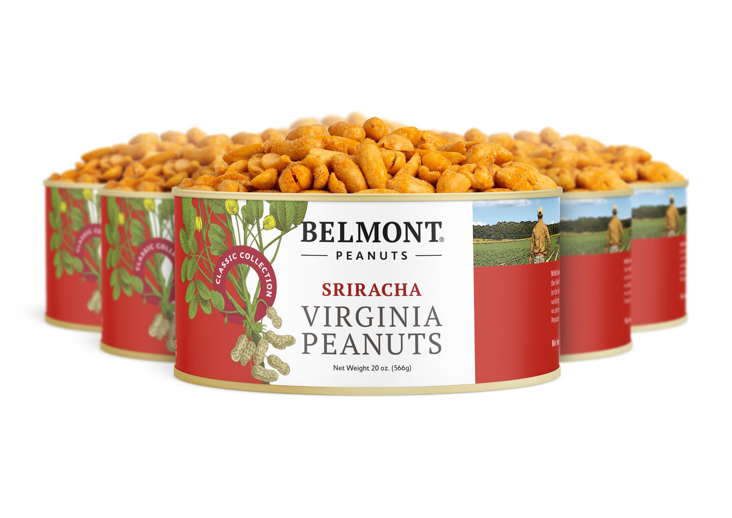 Four cans of Sriracha peanuts are displayed with red and white labels, images of peanuts, green leaves, and a field photo. The cans are filled with seasoned peanuts featuring bold red chili pepper flavor.