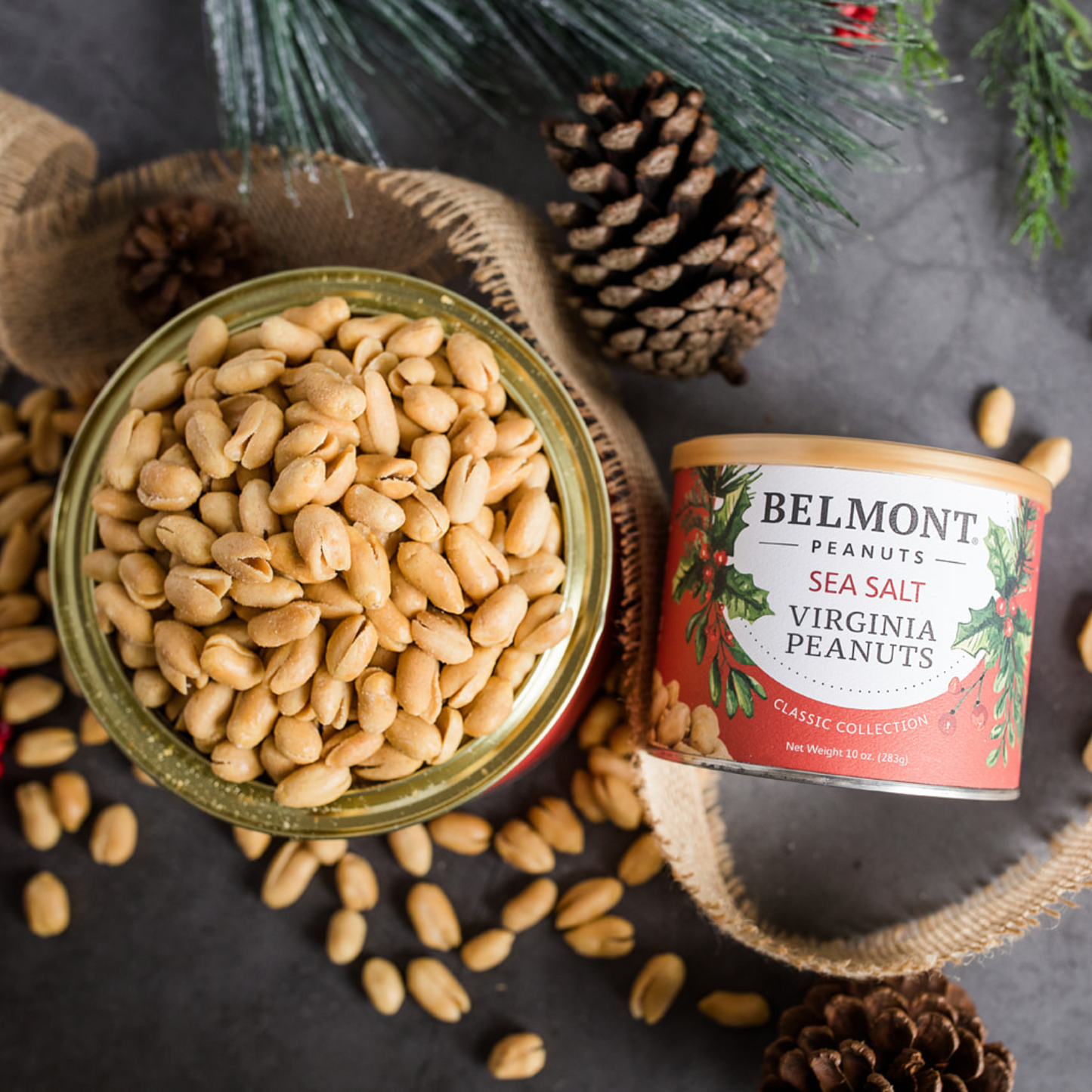 A tin of Belmont 10 oz. Single Holiday Sea Salt Peanuts sits open beside its lid, with scattered peanuts, pinecones, burlap ribbon, and evergreen branches arranged on a dark surface.