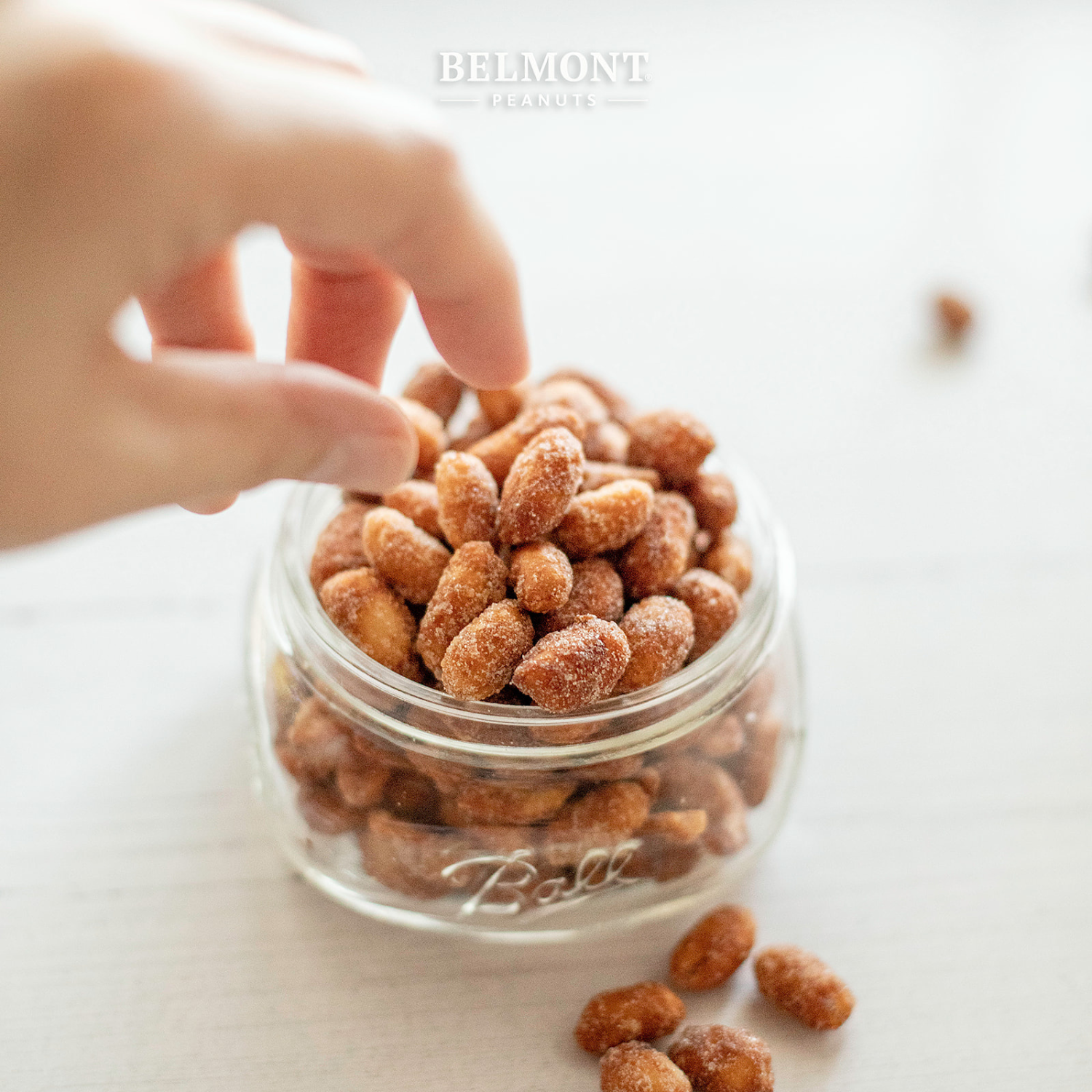 A hand reaches into a Ball jar filled with sugar-coated Honey Roasted peanuts, with a few scattered on a white surface nearby. Belmont Peanuts and Gourmet Peanuts appear at the top of the image.