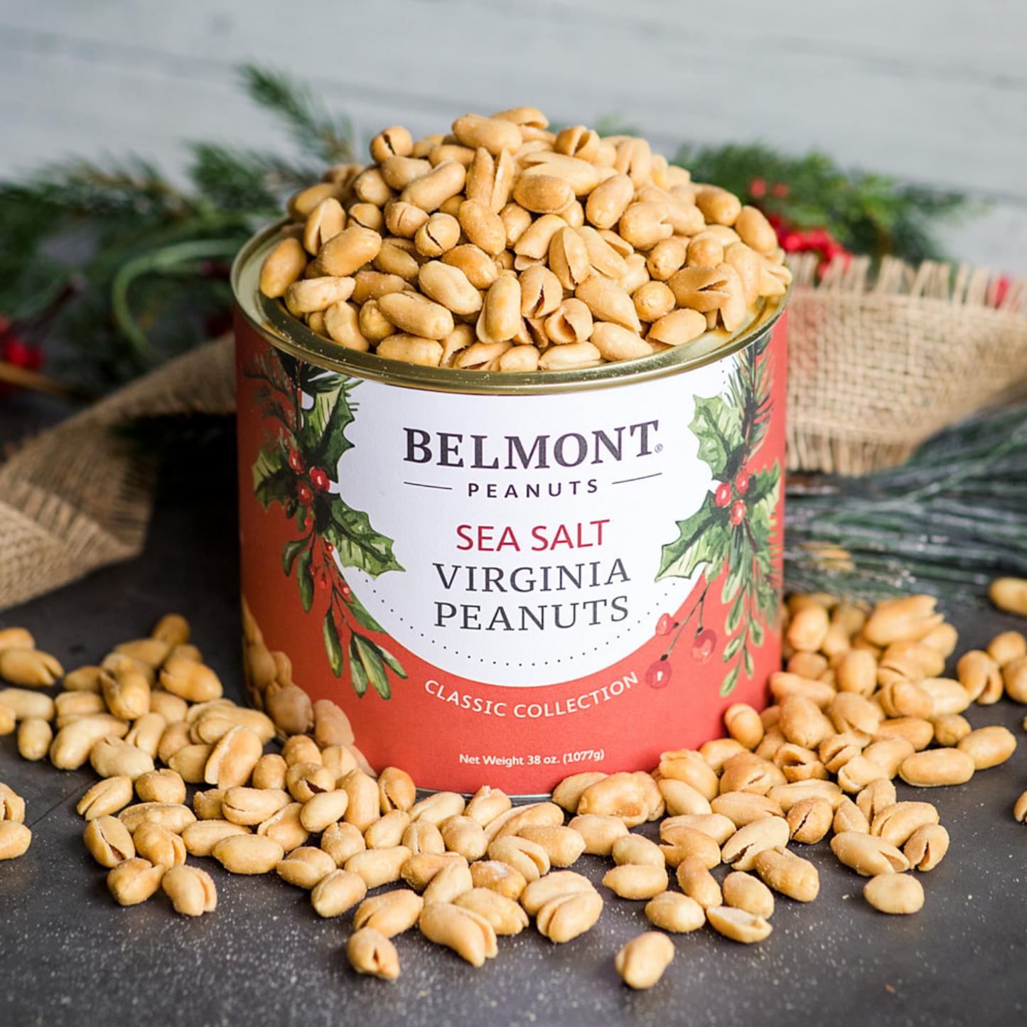 A large round tin labeled Belmont 38 oz. 4-Pack Holiday Sea Salt Peanuts is filled and surrounded by gourmet peanuts, with holiday greenery and burlap in the background on a dark surface.