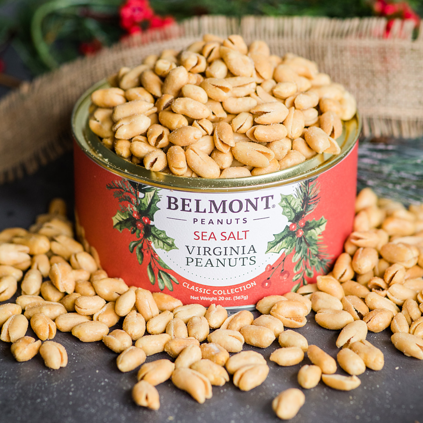 A festive red can labeled "Belmont 20 oz. 6-Pack Holiday Sea Salt Peanuts" overflows with gourmet peanuts, some scattered nearby, against a background decorated with holiday greenery.