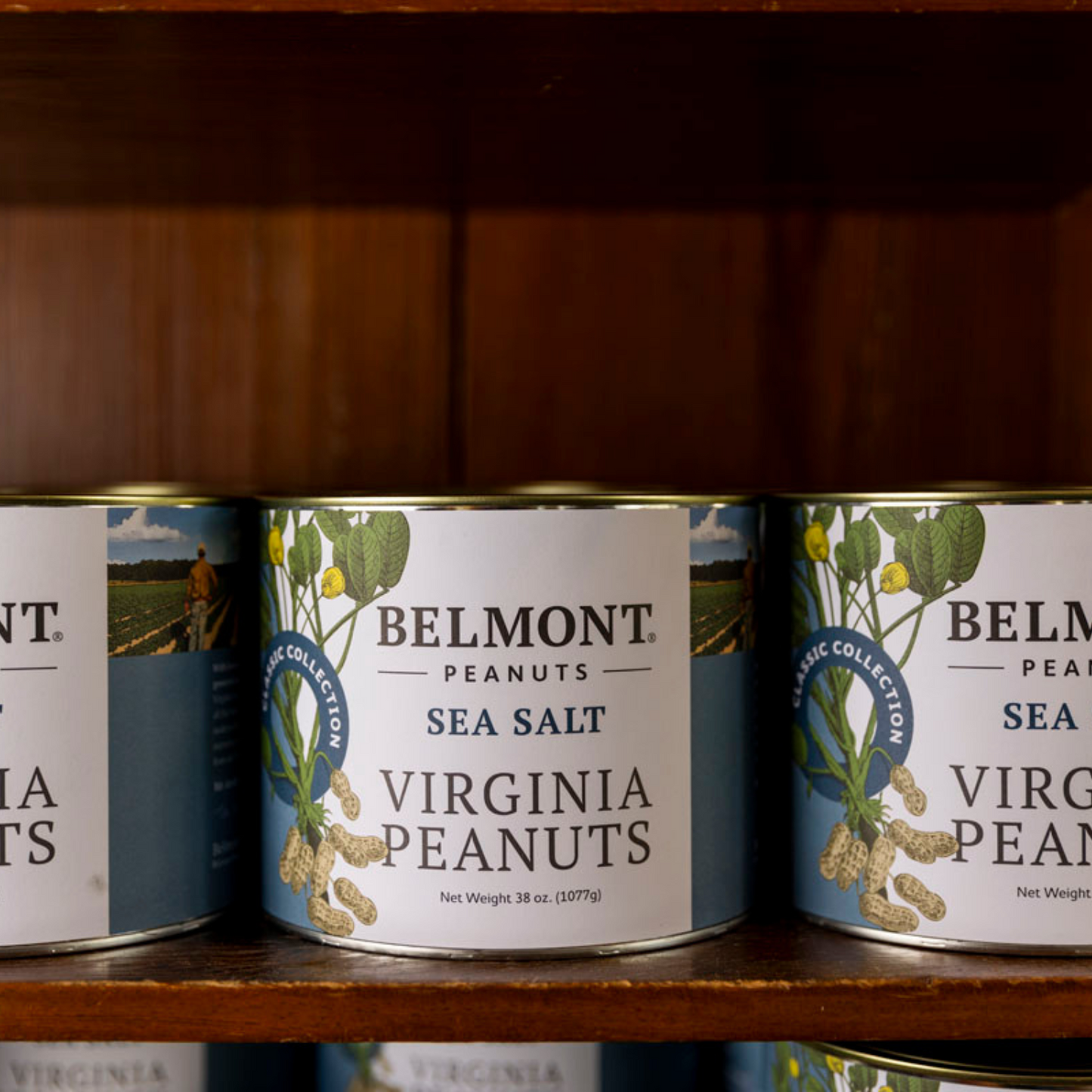 Three cans of Belmont Peanuts Sea Salt are displayed on a wooden shelf. The blue labels feature peanut plant illustrations, emphasize gourmet quality, and indicate a net weight of 38 oz (1077g).
