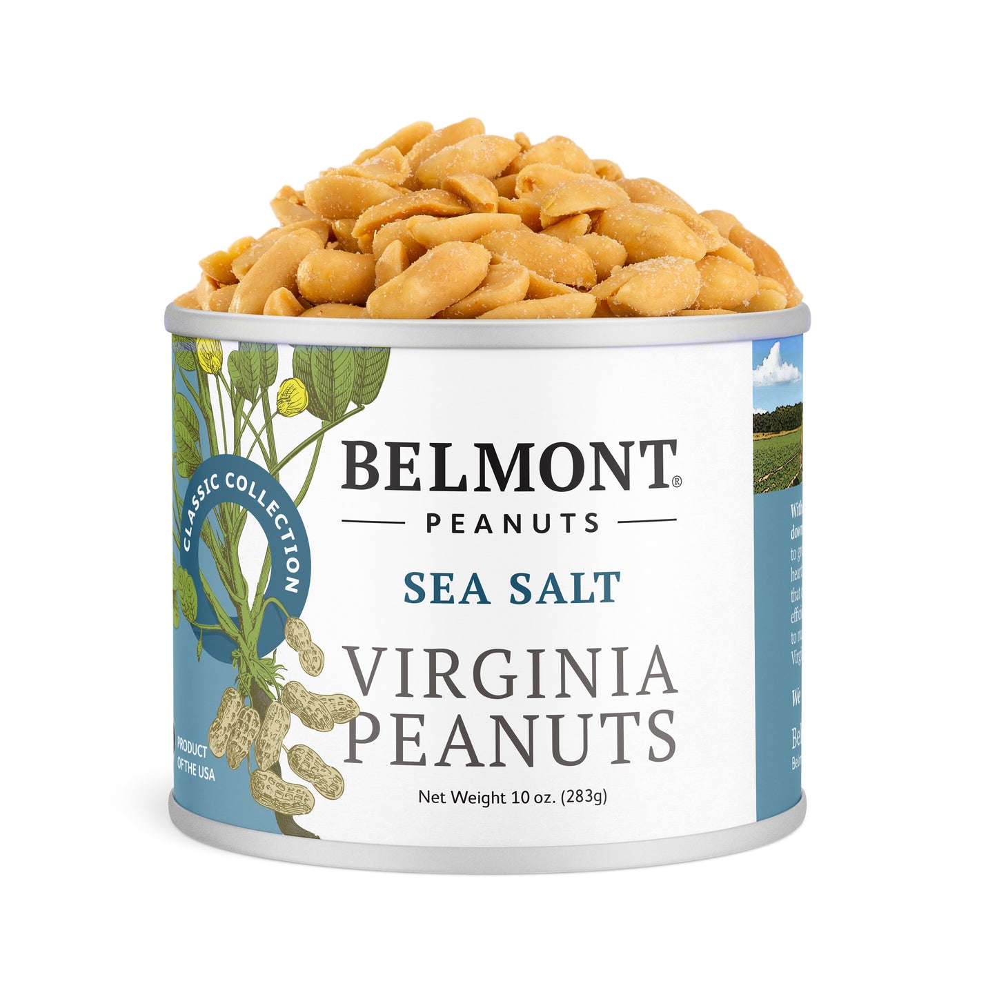 A 10 oz can of Sea Salt Virginia Peanuts with the lid off and gourmet peanuts overflowing. The label features peanut illustrations and blue accents.