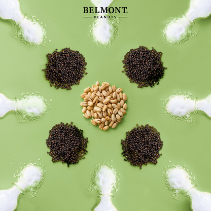 A circle of gourmet Sea Salt & Black Pepper peanuts, grains, and seeds.