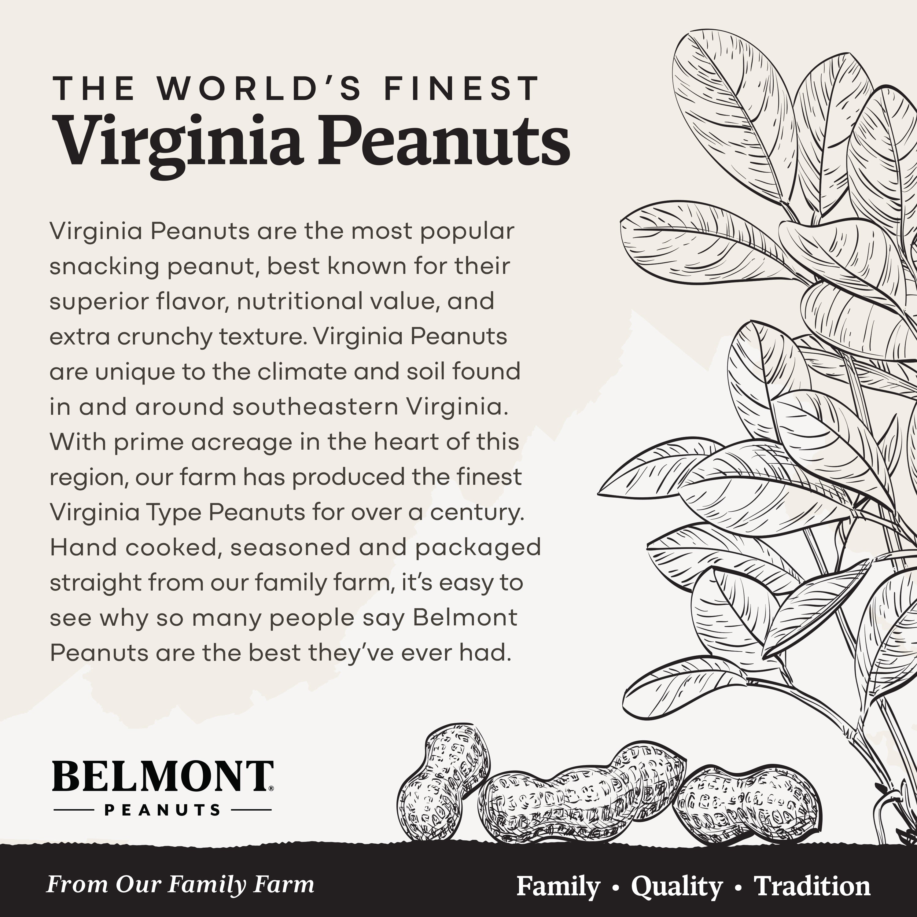 A promotional graphic for Belmont Peanuts’ Sea Salt & Black Pepper gourmet Virginia peanuts highlights them as a premium snack. The image features peanut plant illustrations and emphasizes Belmont’s values: Family, Quality, Tradition.
