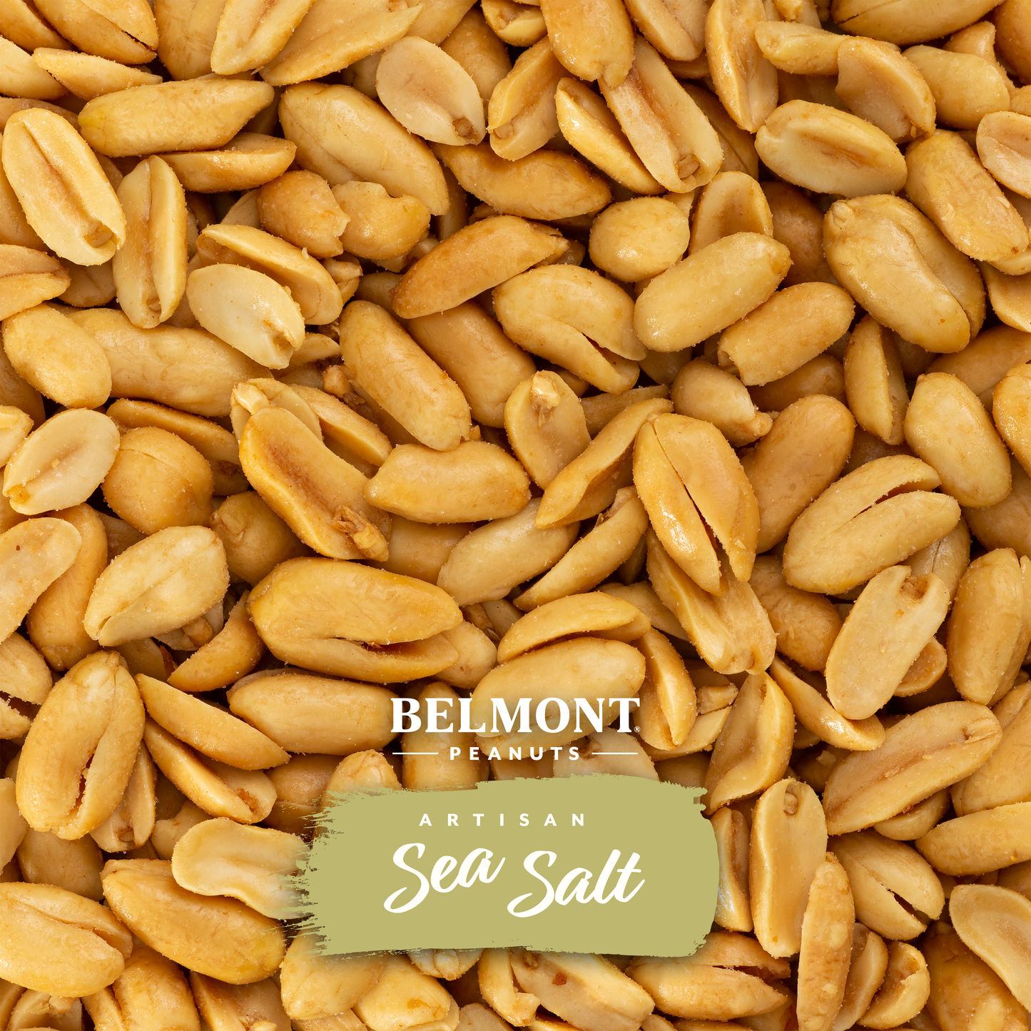 Virginia Peanuts Artisan Sea Salt Belmont Peanuts Photo 2