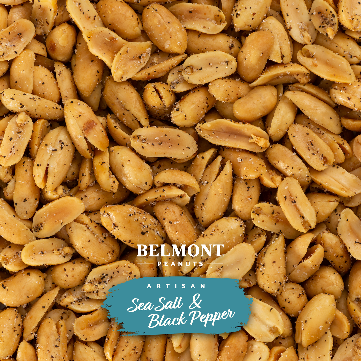 Virginia Peanuts Artisan Sea Salt & Black Pepper Belmont Peanuts Photo 2