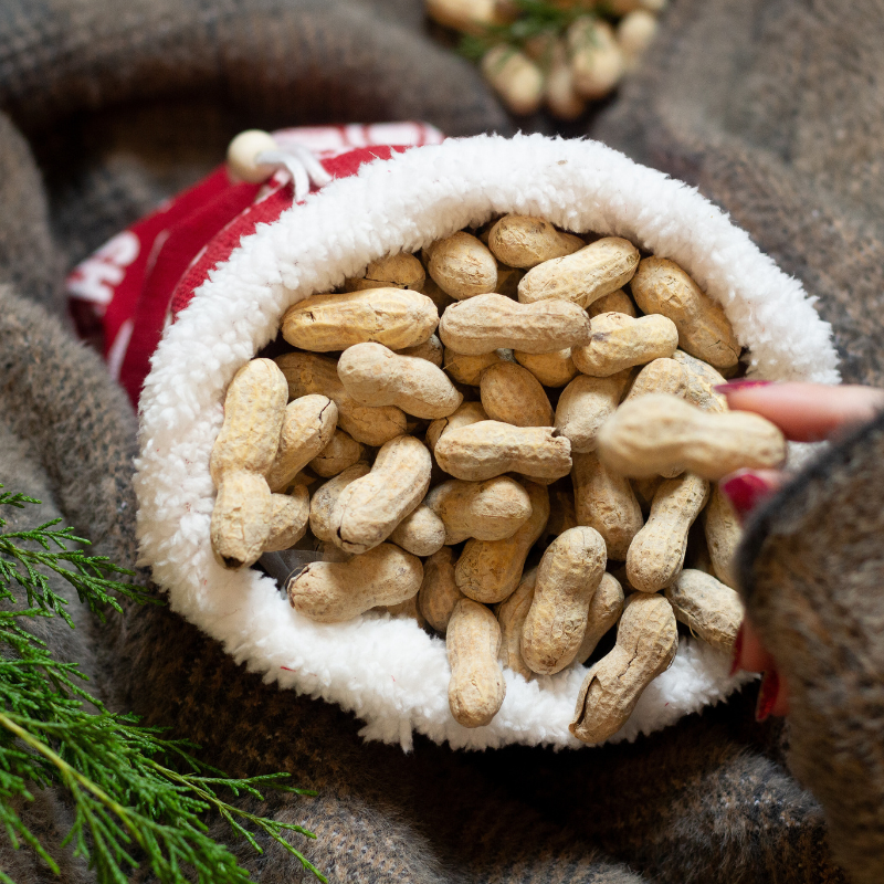 Farm Fresh Christmas Salted in the Shell Peanuts, 1.25 lb