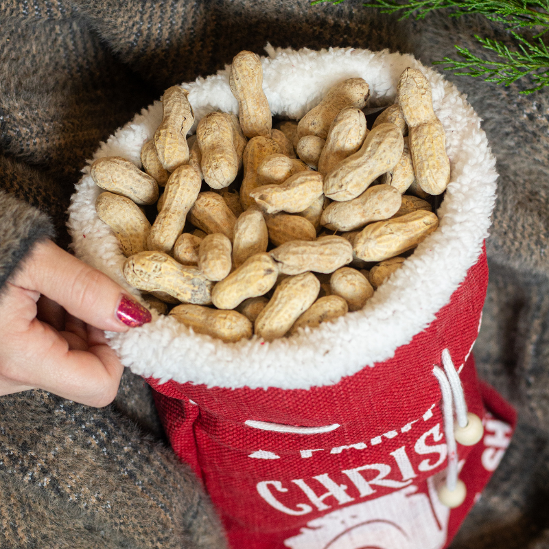 Farm Fresh Christmas Salted in the Shell Peanuts, 1.25 lb