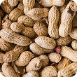 In-Shell Peanuts
