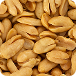 Lightly Salted
